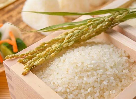 Những lợi ích từ gạo trắng có thể bạn chưa biết