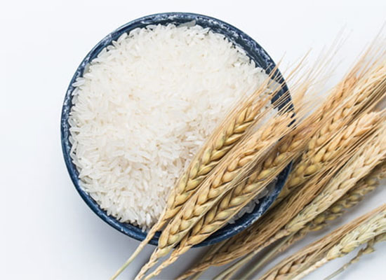 10 lợi ích từ gạo trắng hàng ngày mà bạn chưa biết